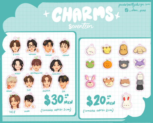 Seventeen charms