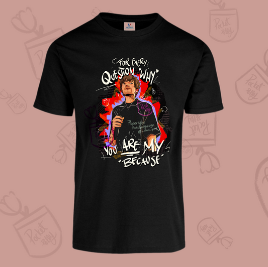 Louis Tomlinson “you are my because” t-shirt