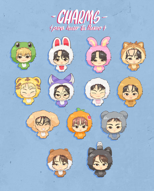 Seventeen Teddy charms